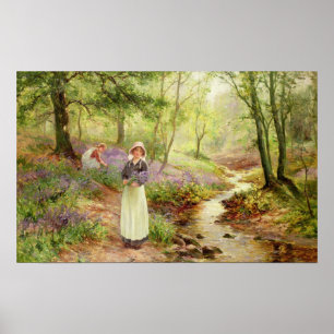 Poster La clairière de jacinthe des bois