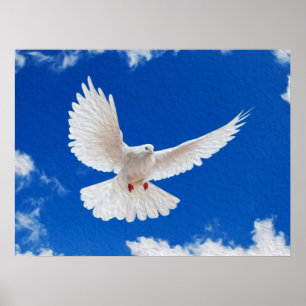 Poster La colombe blanche en vol