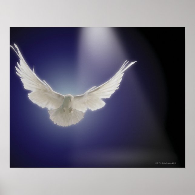 Poster La colombe survolant le rayon de lumière (Devant)