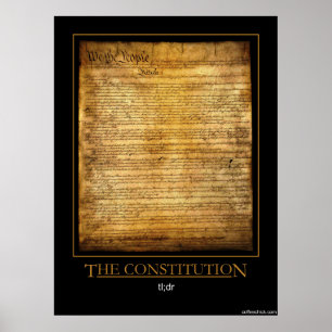 Poster La constitution