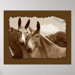 Poster La conversation