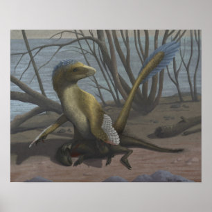 Poster La copie aptienne de rive