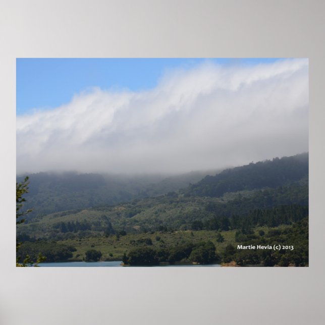 Poster La couche marine (Devant)