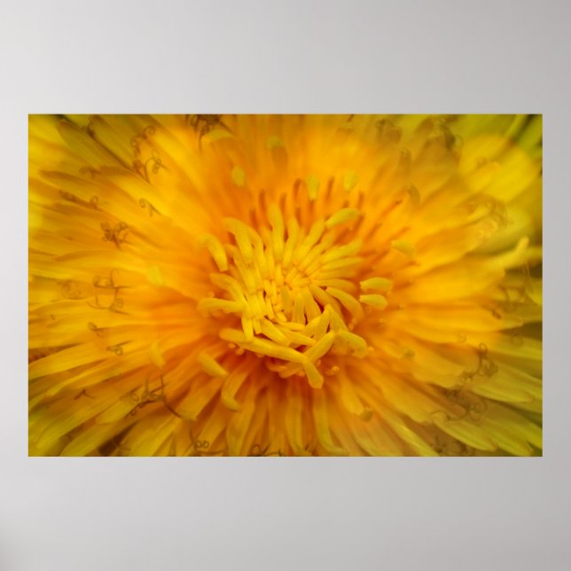 Poster La couleur jaune (Devant)