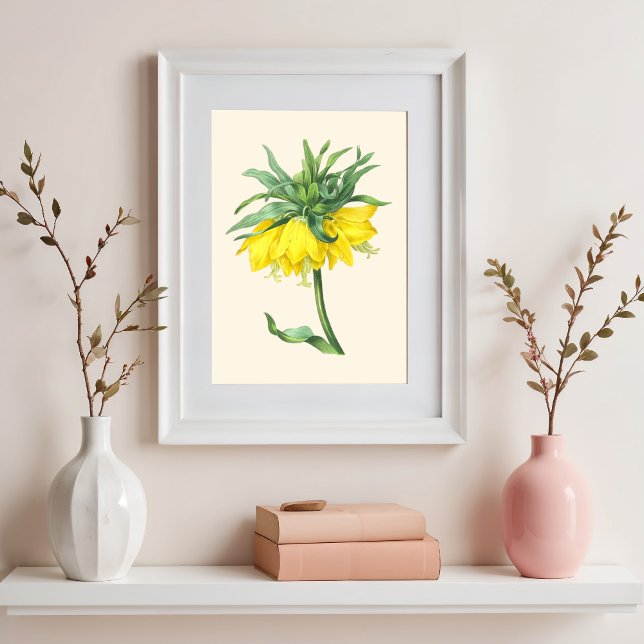 Poster La couronne impériale, illustration botanique Vint (Créateur téléchargé)