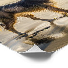 La création de la vie et du poème du chien