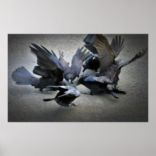 Poster La danse des corbeaux