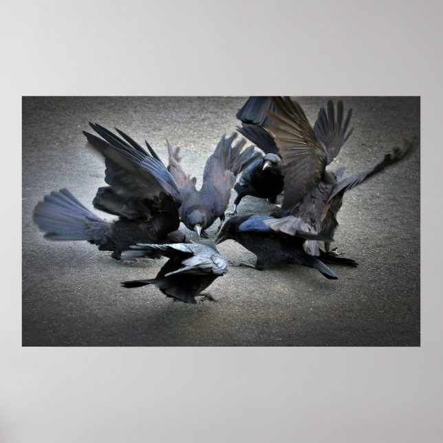 Poster La danse des corbeaux (Devant)