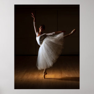 Poster La danseuse