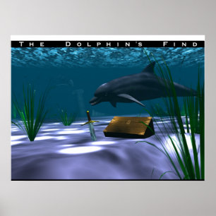 Poster La découverte du dauphin
