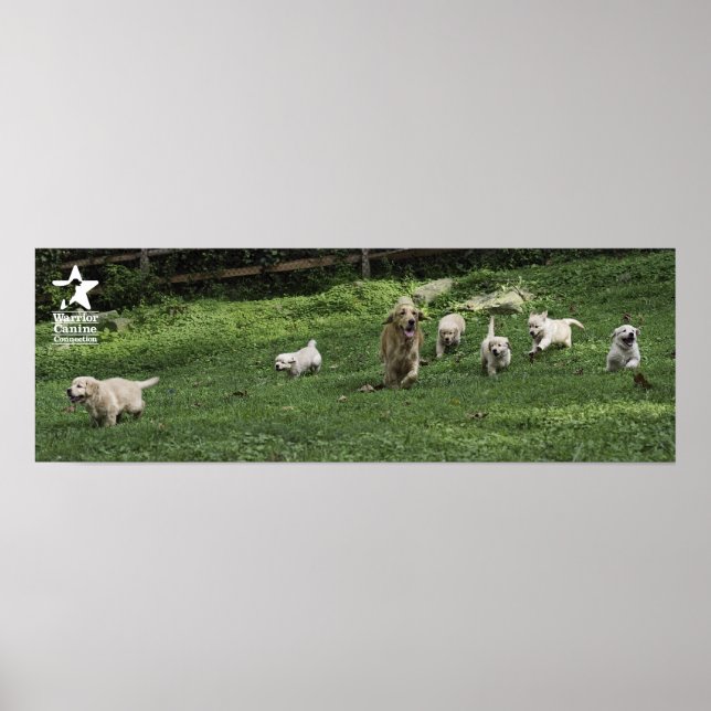 Poster La demi-douzaine de Romp de Holly (Devant)