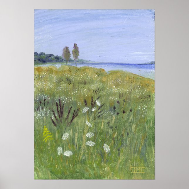 Poster La dentelle de la reine Anne (Devant)