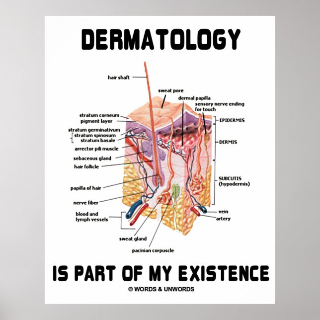 Poster La Dermatologie Fait Partie De Mon Existence (Anat (Devant)