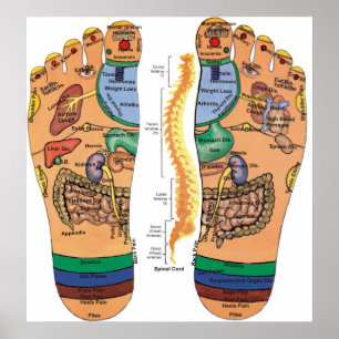 Poster La digitopuncture dirige le diagramme de pression