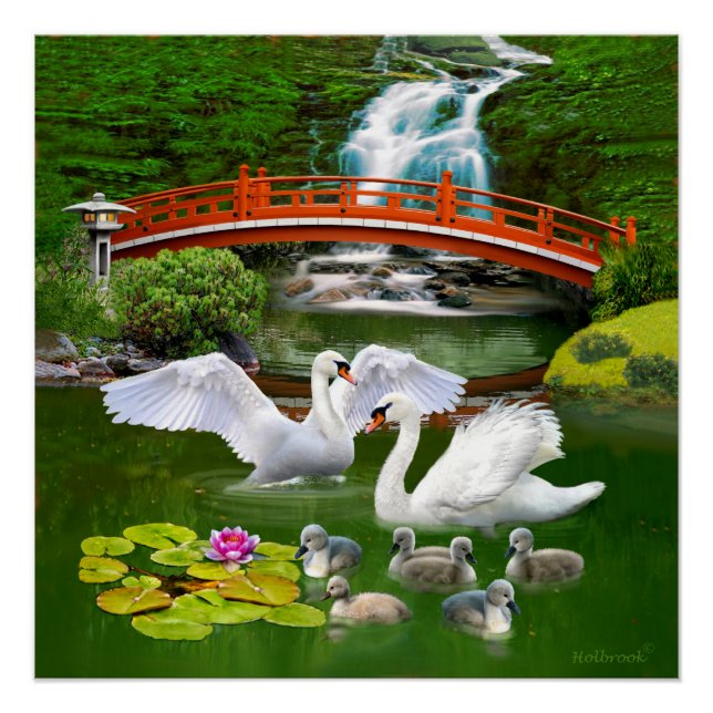 POSTER LA FAMILLE SWAN (Devant)