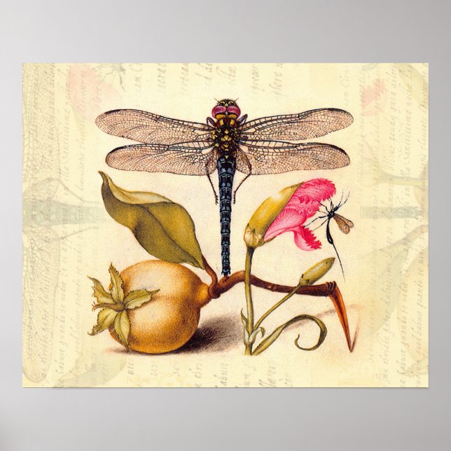 Poster La faune de la libellule (Devant)