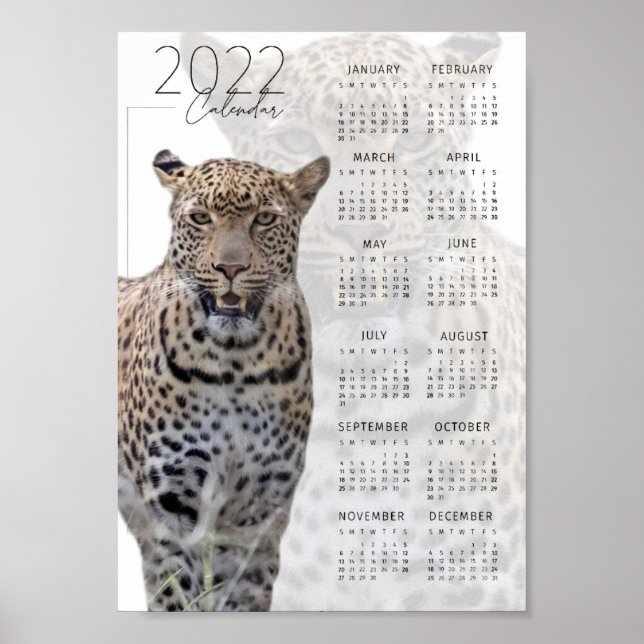 Poster La faune léopard Calendrier 2022 (Devant)