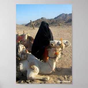 Poster La Fille du désert