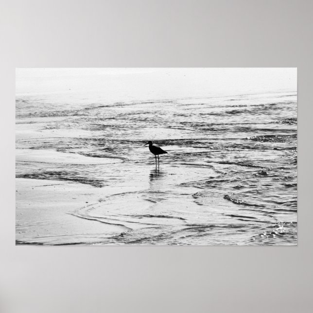 Poster La fin des vagues (Devant)