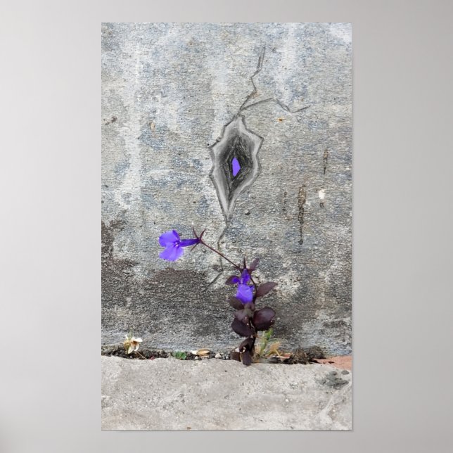 Poster La fissure dans le mur (Devant)