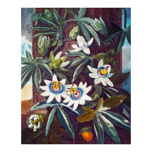 La fleur de la passion bleue