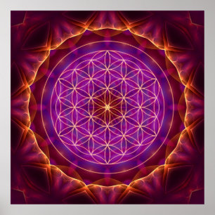 Poster La Fleur de la vie avec Lila-golden Mandala