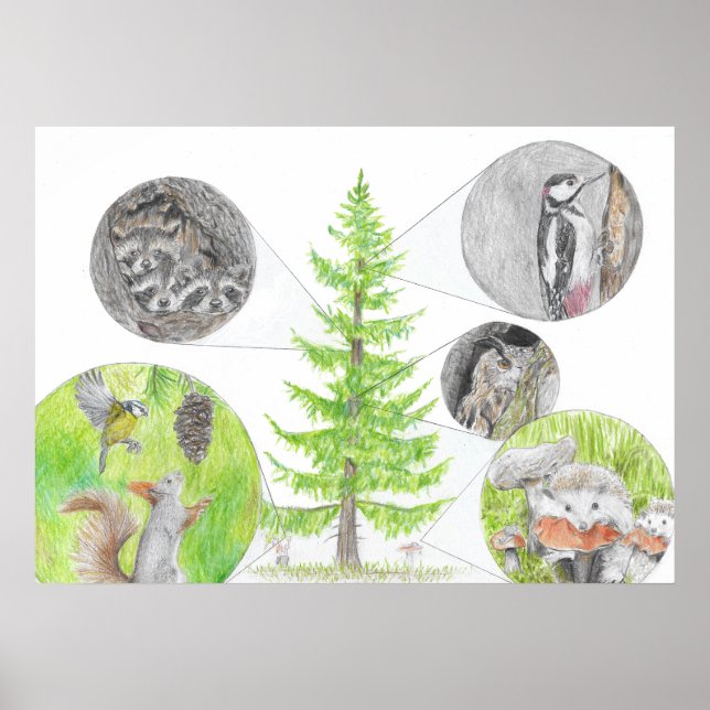 Poster La flore et la faune (Devant)