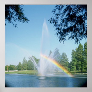 POSTER LA FONTAINE ET LE PLANCHER SONT LE PARC FOREST