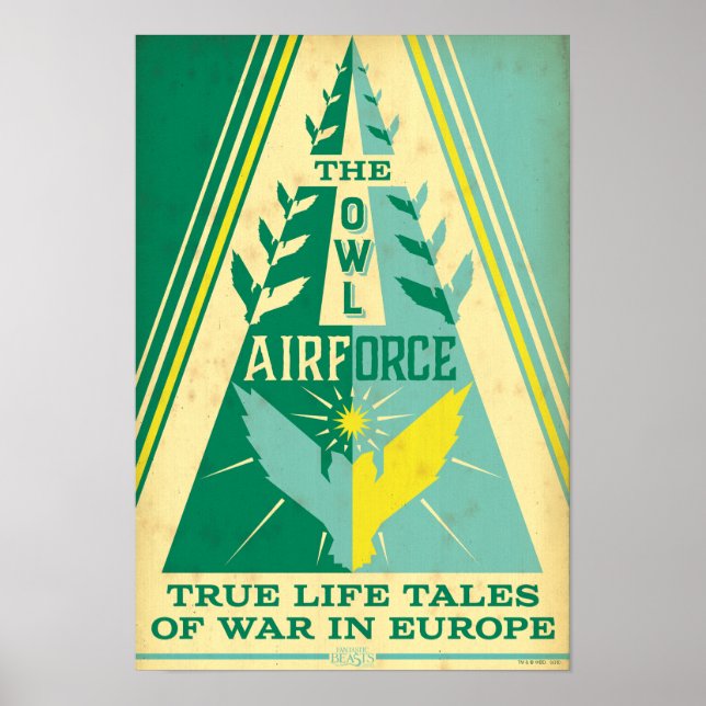 Poster La Force aérienne de Owl (Devant)
