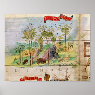 Poster La forêt canadienne