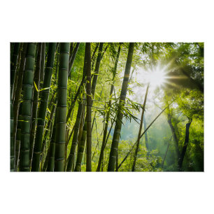 Poster La forêt de Bamboo