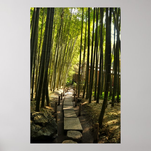 Poster La forêt de Bamboo (Devant)