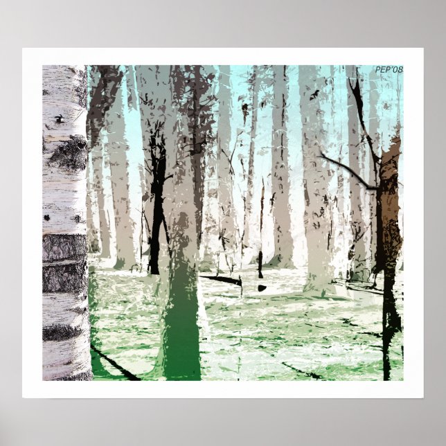 Poster La forêt de Birch (Devant)