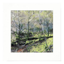 La forêt de Mossy