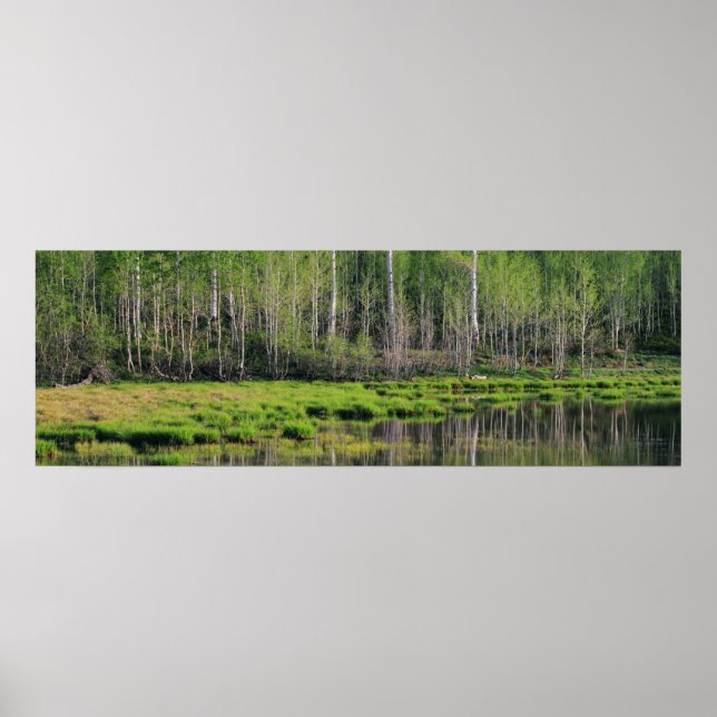 Poster La forêt d'Emeraude (Devant)