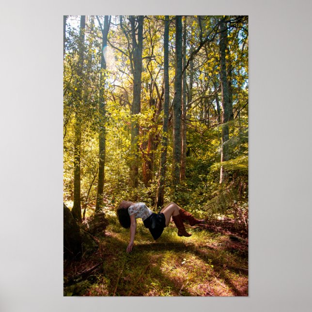 Poster La forêt des rêves (Devant)