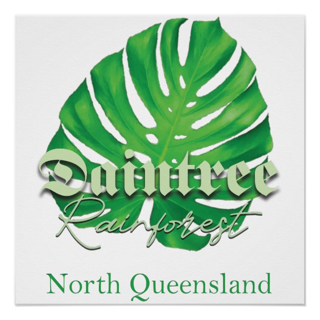 Poster La forêt tropicale de Daintree (Devant)