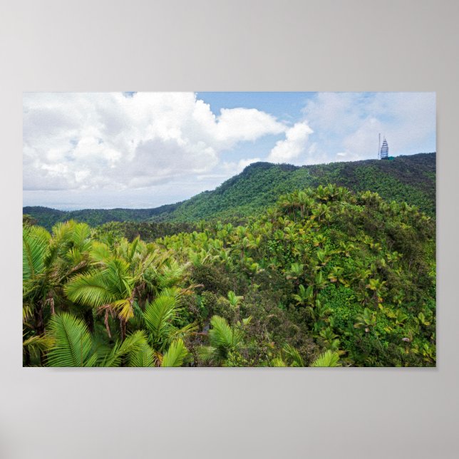 Poster La forêt tropicale d'El yunque et la tour de commu (Devant)