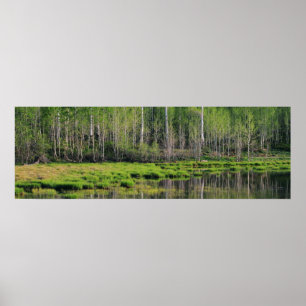 Poster La forêt verte