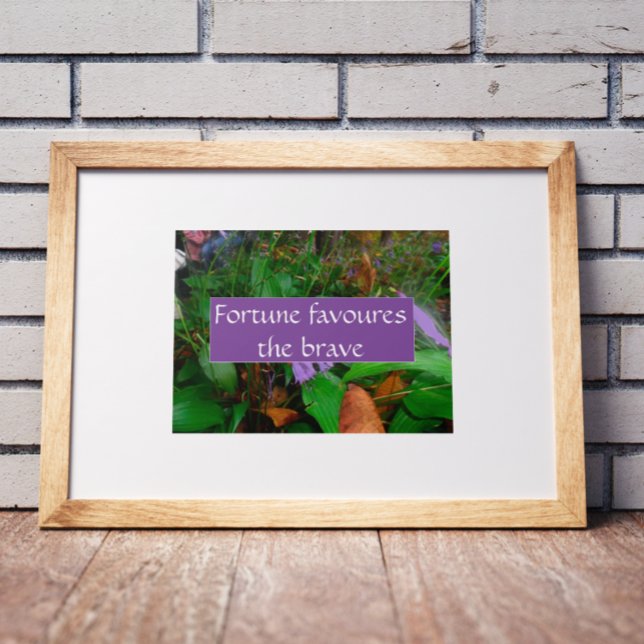 Poster La fortune du proverbe favorise l'affiche courageu (Créateur téléchargé)