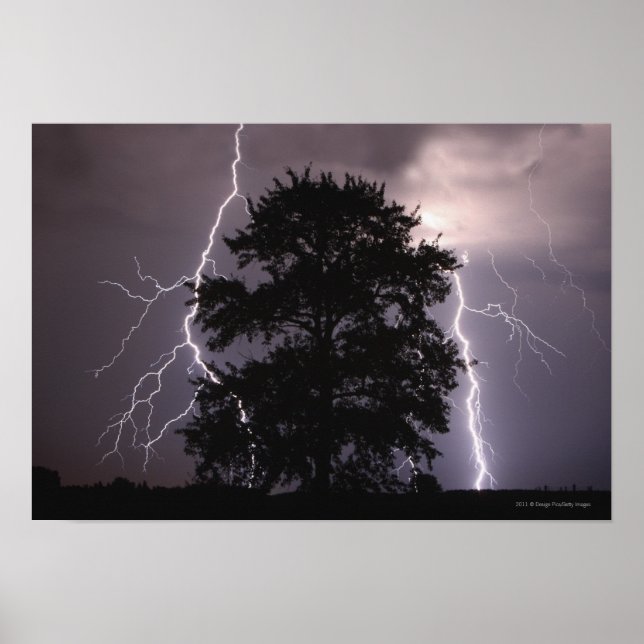 Poster La Foudre Grève Dans Le Ciel Derrière Un Arbre (Devant)