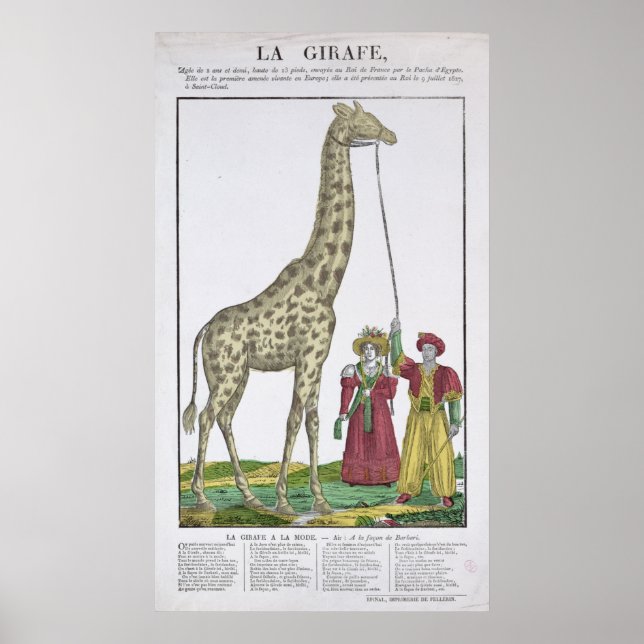 Poster La girafe présentée au roi (Devant)