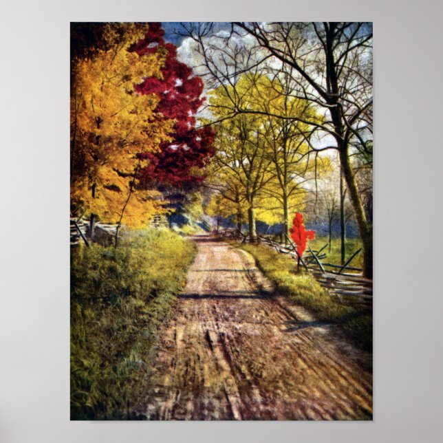Poster La gloire des arbres d'automne (Devant)