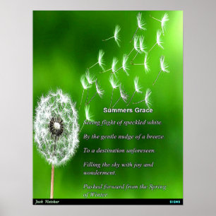 Poster La grâce de l'été