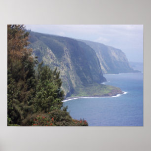 Poster La grande île - Hawaï