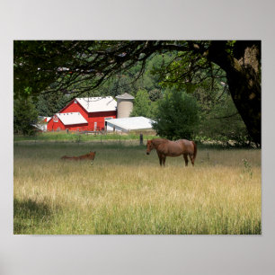 Poster La Grange Rouge Et Les Chevaux