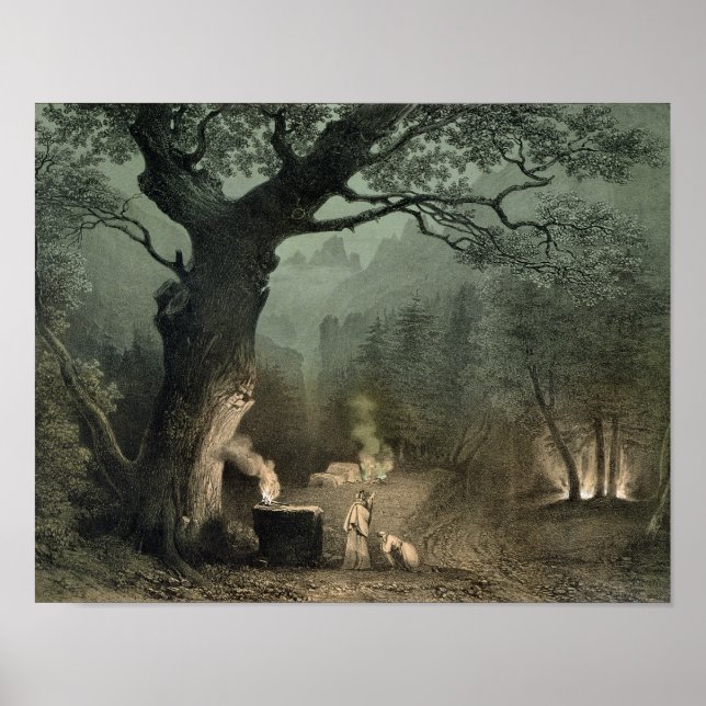 Poster La Grove sacrée des druides (Devant)