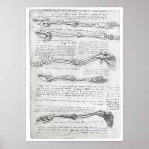 Poster La Haute Extrémité, Léonard de Vinci