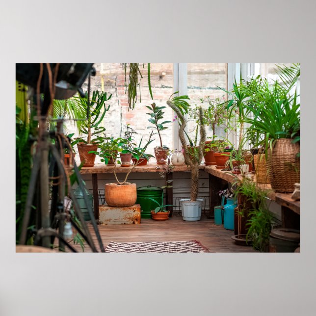 Poster La jungle urbaine. Jardin d'hiver avec plantes, fl (Devant)