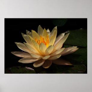 Poster La Luminosité